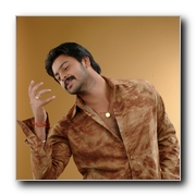 Srikanth-Gallery